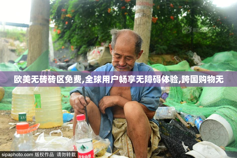 欧美无砖砖区免费,全球用户畅享无障碍体验,跨国购物无