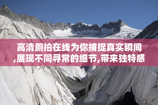 高清厕拍在线为你捕捉真实瞬间,展现不同寻常的细节,带来独特感受