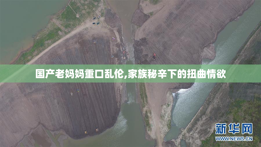 国产老妈妈重口乱伦,家族秘辛下的扭曲情欲