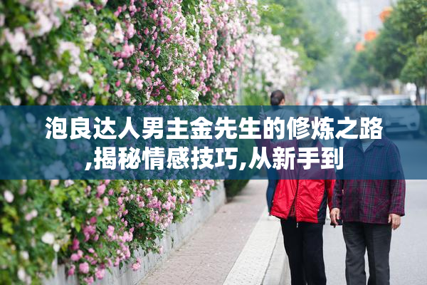 泡良达人男主金先生的修炼之路,揭秘情感技巧,从新手到