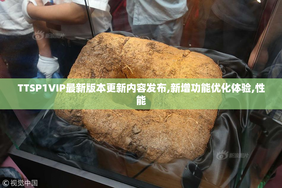 TTSP1VIP最新版本更新内容发布,新增功能优化体验,性能