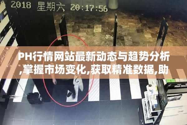 PH行情网站最新动态与趋势分析,掌握市场变化,获取精准数据,助力