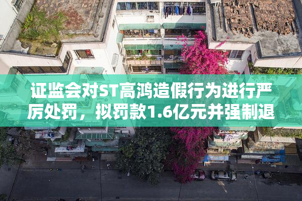 证监会对ST高鸿造假行为进行严厉处罚，拟罚款1.6亿元并强制退市