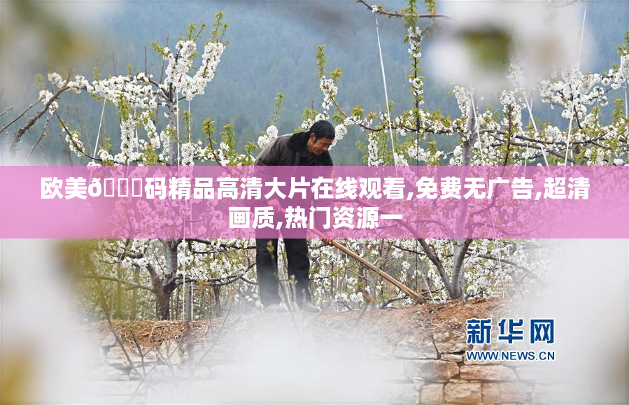 欧美🈚码精品高清大片在线观看,免费无广告,超清画质,热门资源一