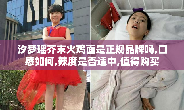 汐梦瑶芥末火鸡面是正规品牌吗,口感如何,辣度是否适中,值得购买