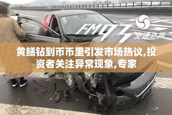 黄鳝钻到币币里引发市场热议,投资者关注异常现象,专家