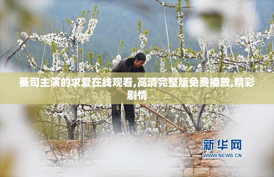 葵司主演的求爱在线观看,高清完整版免费播放,精彩剧情