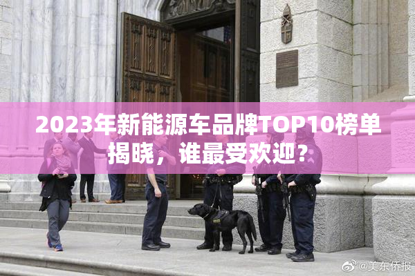2023年新能源车品牌TOP10榜单揭晓，谁最受欢迎？
