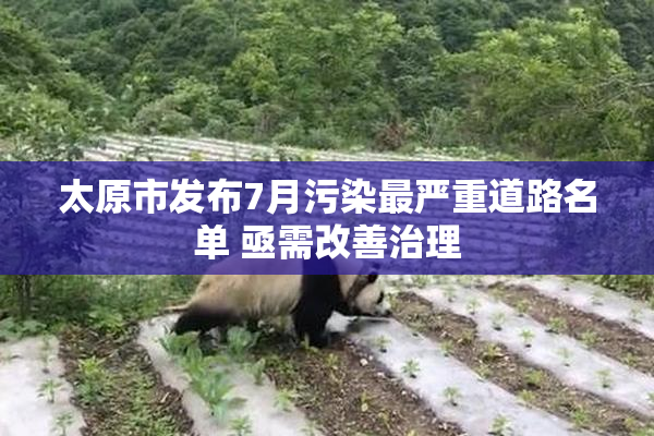 太原市发布7月污染最严重道路名单 亟需改善治理