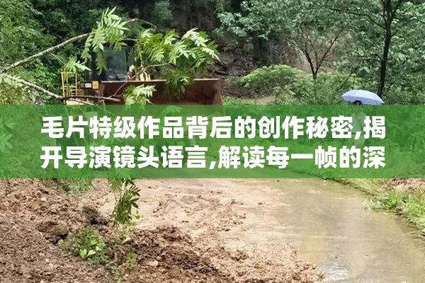 毛片特级作品背后的创作秘密,揭开导演镜头语言,解读每一帧的深意