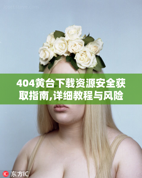 404黄台下载资源安全获取指南,详细教程与风险提示
