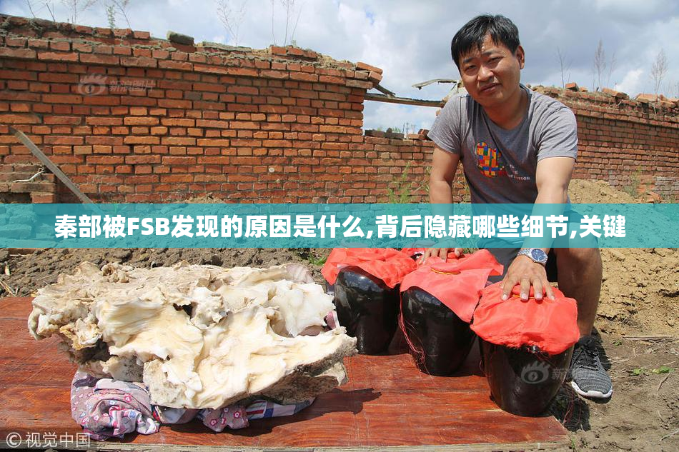 秦部被FSB发现的原因是什么,背后隐藏哪些细节,关键