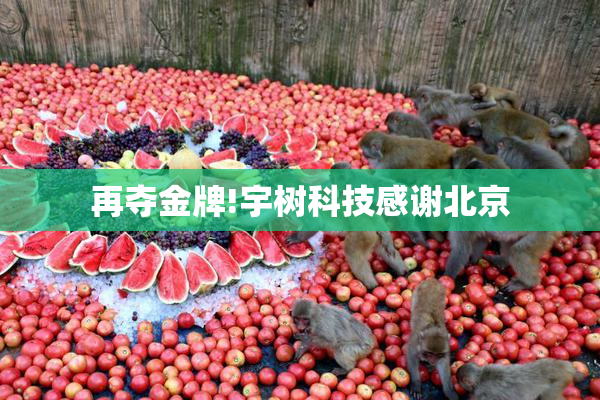 再夺金牌!宇树科技感谢北京