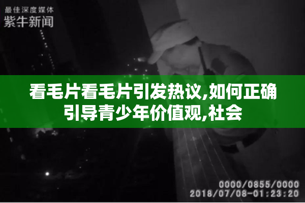 看毛片看毛片引发热议,如何正确引导青少年价值观,社会