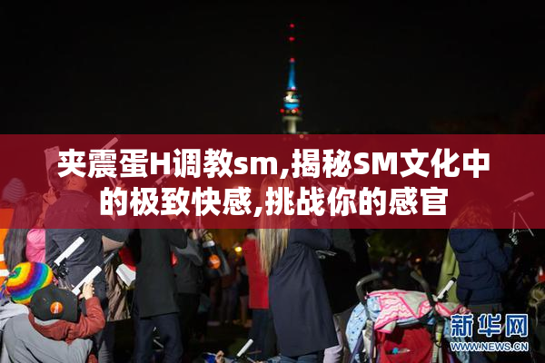 夹震蛋H调教sm,揭秘SM文化中的极致快感,挑战你的感官