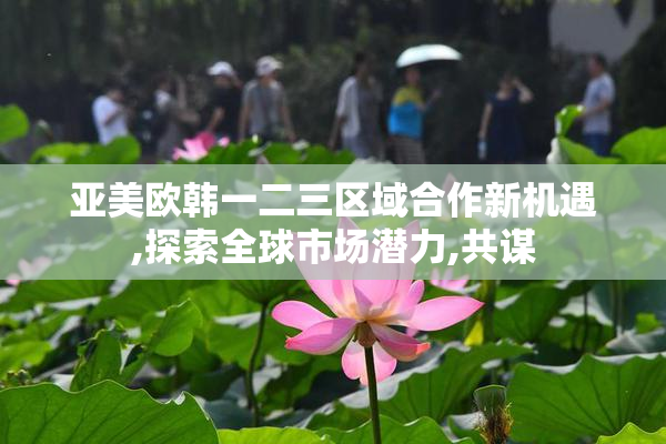亚美欧韩一二三区域合作新机遇,探索全球市场潜力,共谋