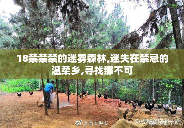 18禁禁禁的迷雾森林,迷失在禁忌的温柔乡,寻找那不可