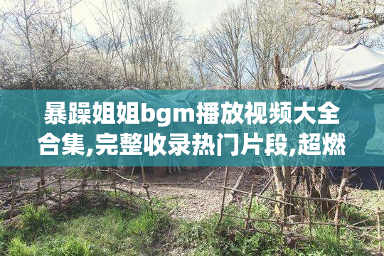 暴躁姐姐bgm播放视频大全合集,完整收录热门片段,超燃剪辑一网打尽