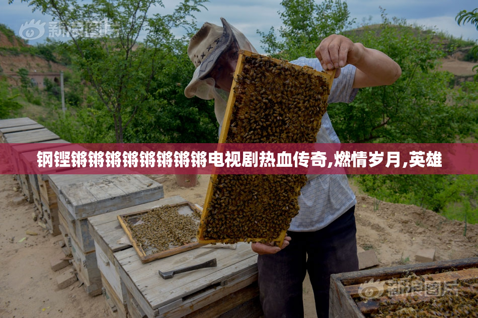 钢铿锵锵锵锵锵锵锵锵电视剧热血传奇,燃情岁月,英雄