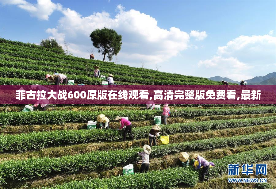 菲古拉大战600原版在线观看,高清完整版免费看,最新
