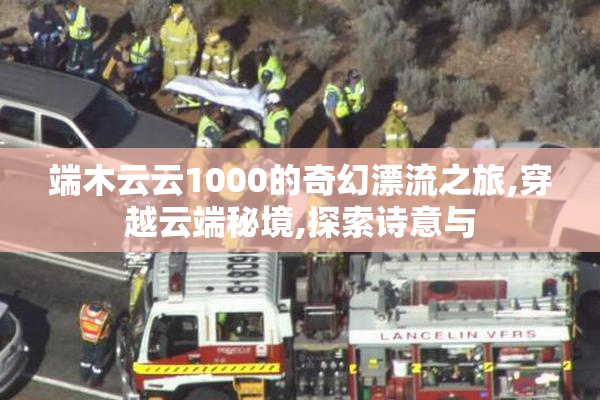 端木云云1000的奇幻漂流之旅,穿越云端秘境,探索诗意与