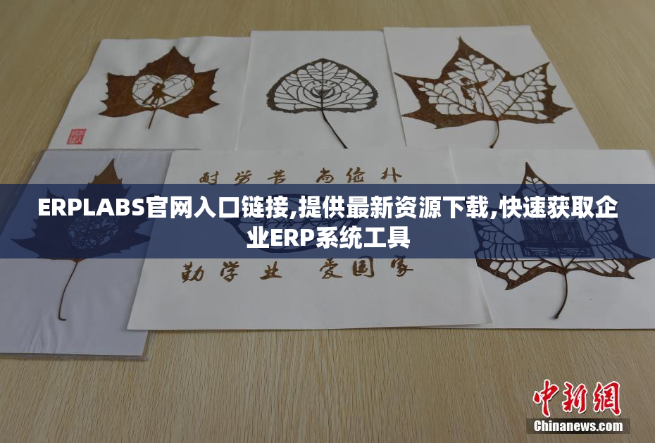 ERPLABS官网入口链接,提供最新资源下载,快速获取企业ERP系统工具