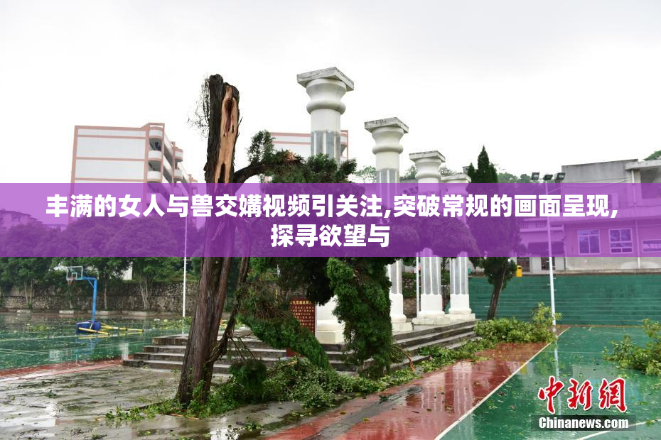 丰满的女人与兽交媾视频引关注,突破常规的画面呈现,探寻欲望与