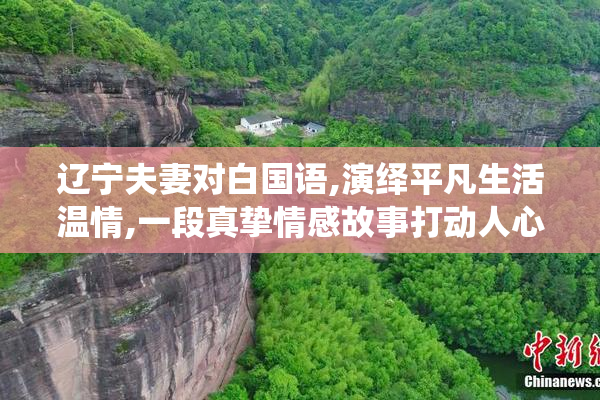 辽宁夫妻对白国语,演绎平凡生活温情,一段真挚情感故事打动人心