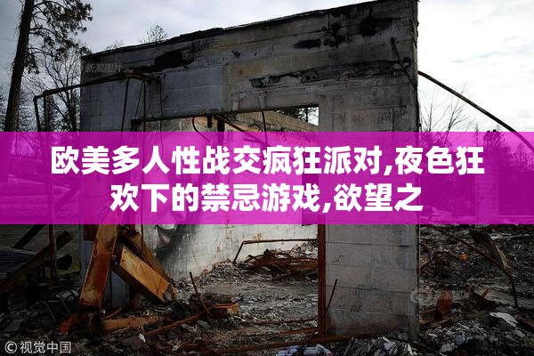 欧美多人性战交疯狂派对,夜色狂欢下的禁忌游戏,欲望之