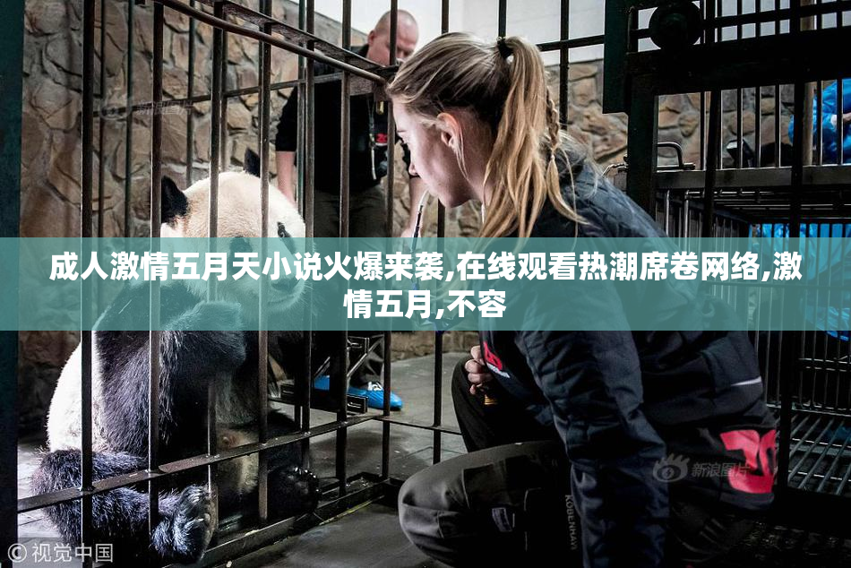 成人激情五月天小说火爆来袭,在线观看热潮席卷网络,激情五月,不容