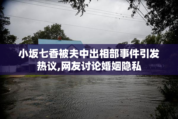 小坂七香被夫中出相部事件引发热议,网友讨论婚姻隐私