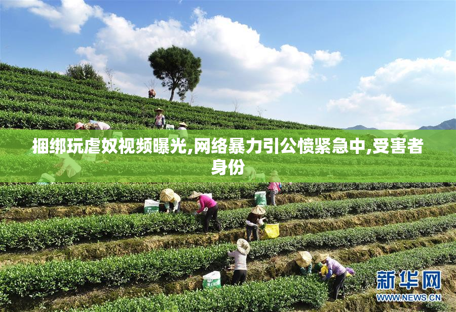捆绑玩虐奴视频曝光,网络暴力引公愤紧急中,受害者身份