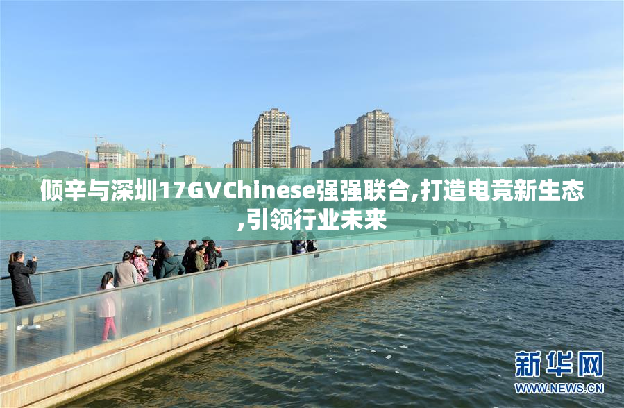 倾辛与深圳17GVChinese强强联合,打造电竞新生态,引领行业未来
