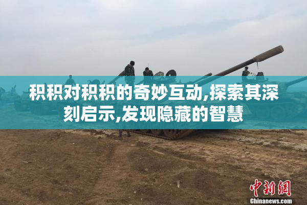 积积对积积的奇妙互动,探索其深刻启示,发现隐藏的智慧