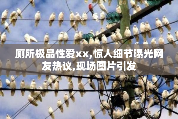 厕所极品性爱xx,惊人细节曝光网友热议,现场图片引发