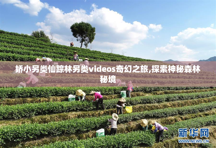 娇小另类仙踪林另类videos奇幻之旅,探索神秘森林秘境
