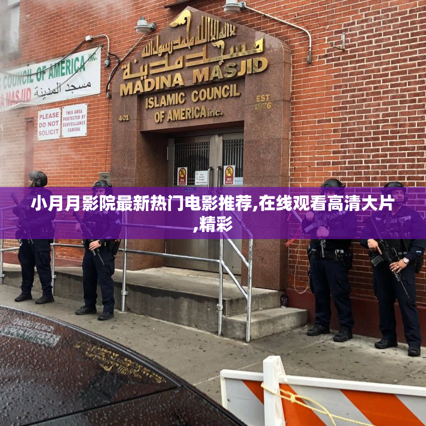小月月影院最新热门电影推荐,在线观看高清大片,精彩