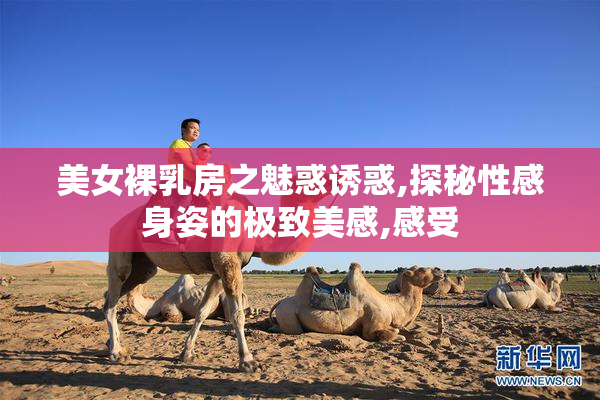 美女裸乳房之魅惑诱惑,探秘性感身姿的极致美感,感受