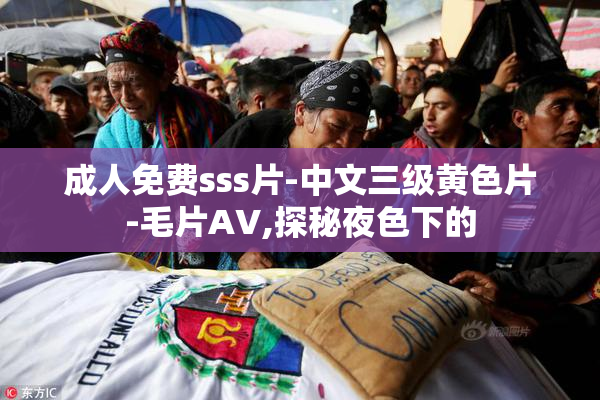 成人免费sss片-中文三级黄色片-毛片AV,探秘夜色下的