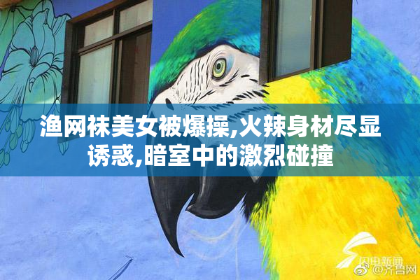 渔网袜美女被爆操,火辣身材尽显诱惑,暗室中的激烈碰撞