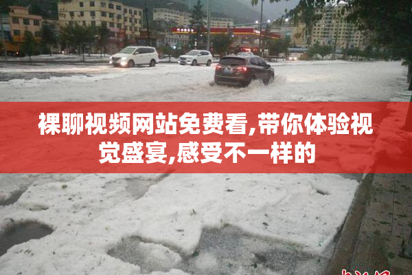裸聊视频网站免费看,带你体验视觉盛宴,感受不一样的