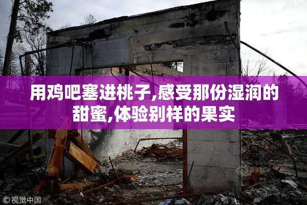 用鸡吧塞进桃子,感受那份湿润的甜蜜,体验别样的果实