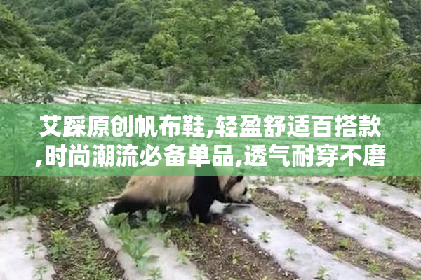 艾踩原创帆布鞋,轻盈舒适百搭款,时尚潮流必备单品,透气耐穿不磨脚