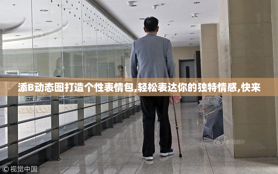 添B动态图打造个性表情包,轻松表达你的独特情感,快来