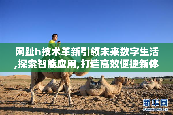 网趾h技术革新引领未来数字生活,探索智能应用,打造高效便捷新体验
