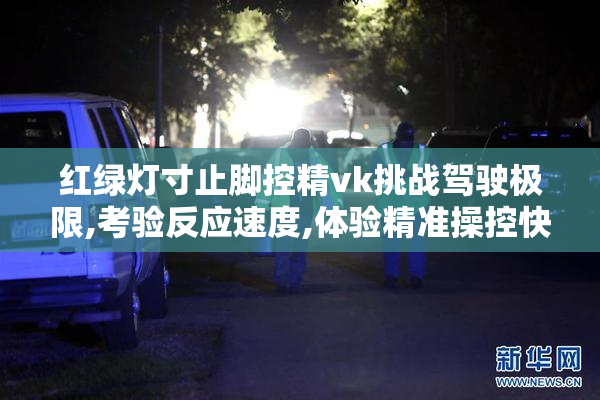 红绿灯寸止脚控精vk挑战驾驶极限,考验反应速度,体验精准操控快感