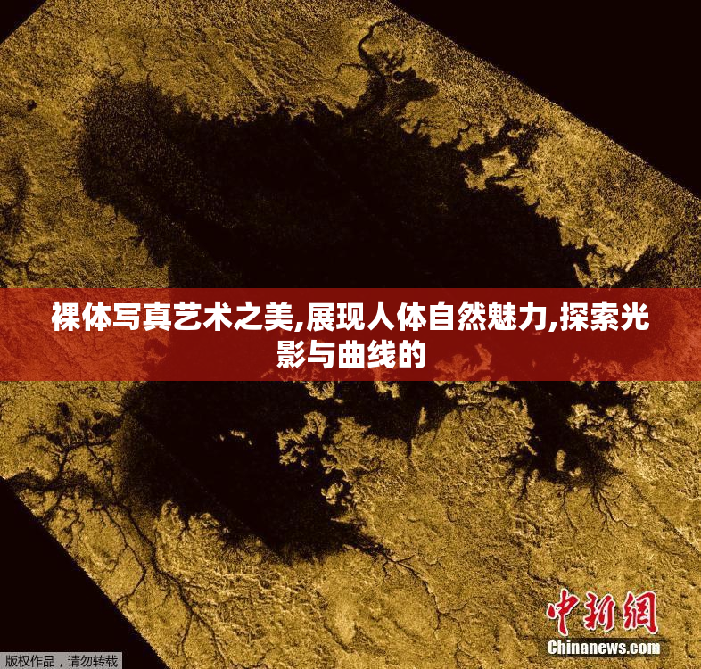 裸体写真艺术之美,展现人体自然魅力,探索光影与曲线的
