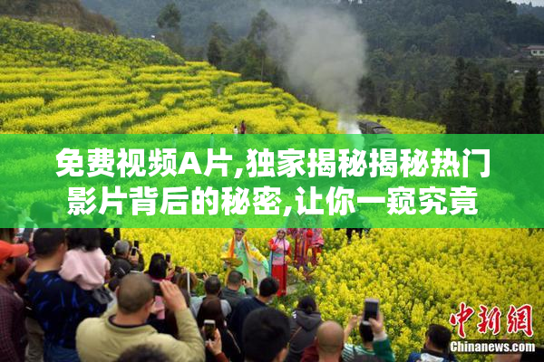 免费视频A片,独家揭秘揭秘热门影片背后的秘密,让你一窥究竟