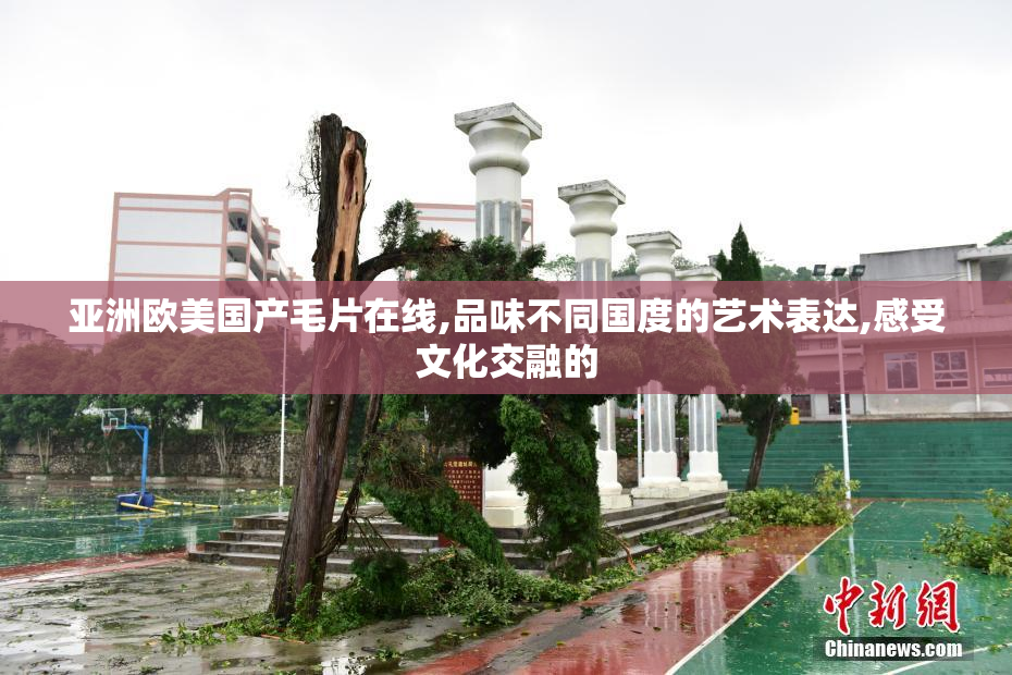 亚洲欧美国产毛片在线,品味不同国度的艺术表达,感受文化交融的