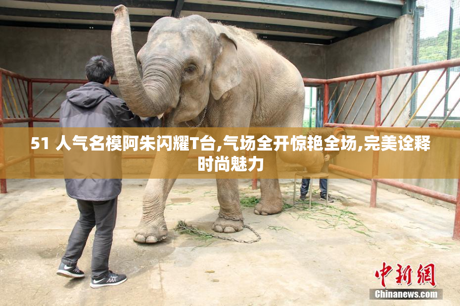 51 人气名模阿朱闪耀T台,气场全开惊艳全场,完美诠释时尚魅力